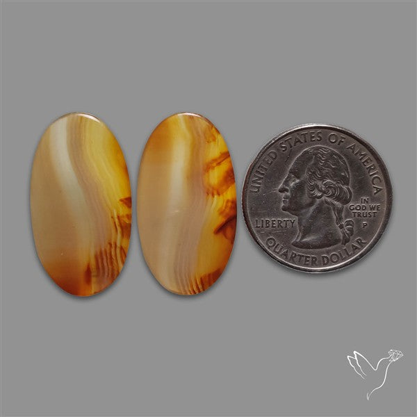 Montana Agate Pair