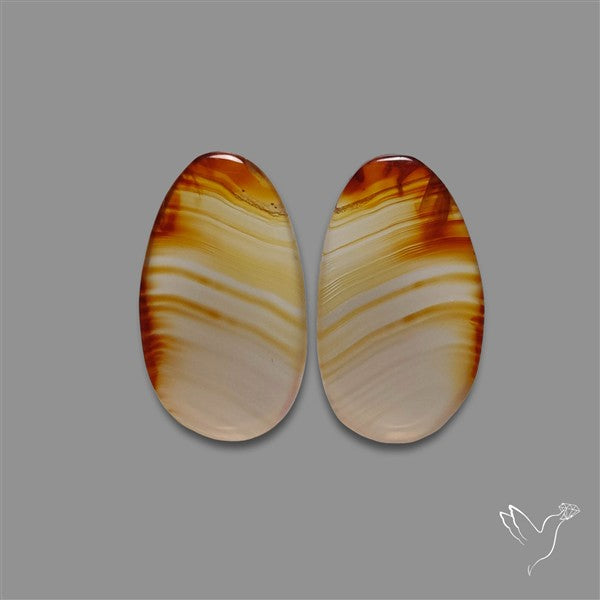 Montana Agate Pair