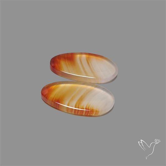 Montana Agate Pair