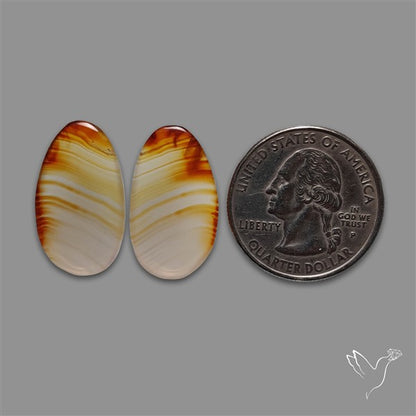 Montana Agate Pair