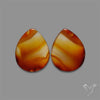 Montana Agate Pair