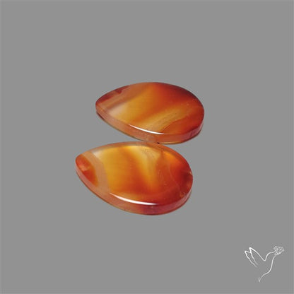 Montana Agate Pair
