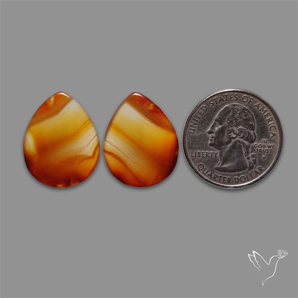 Montana Agate Pair