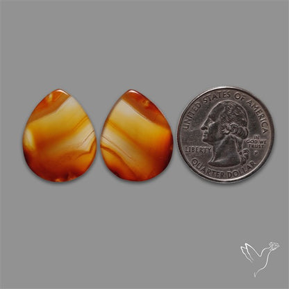 Montana Agate Pair