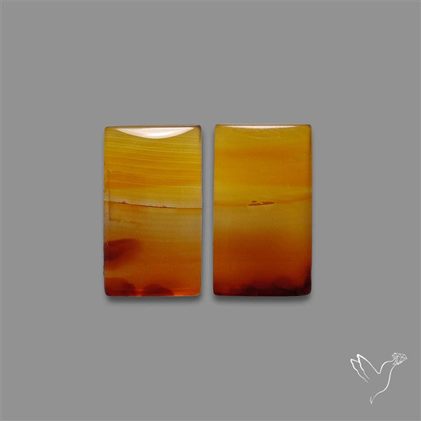 Montana Agate Pair