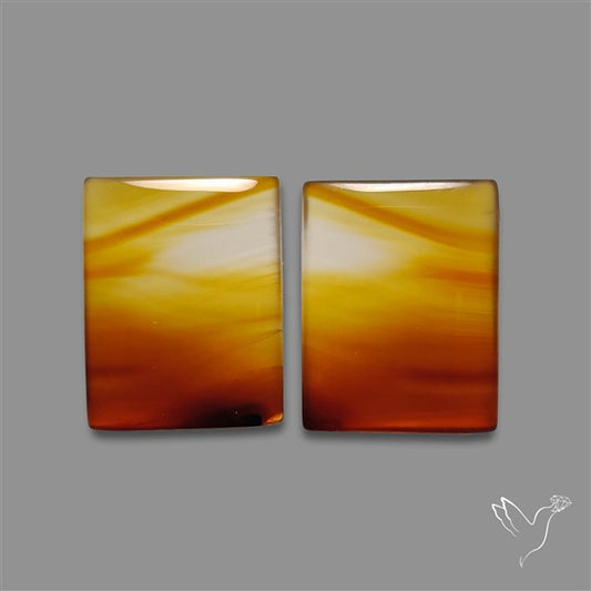Montana Agate Pair
