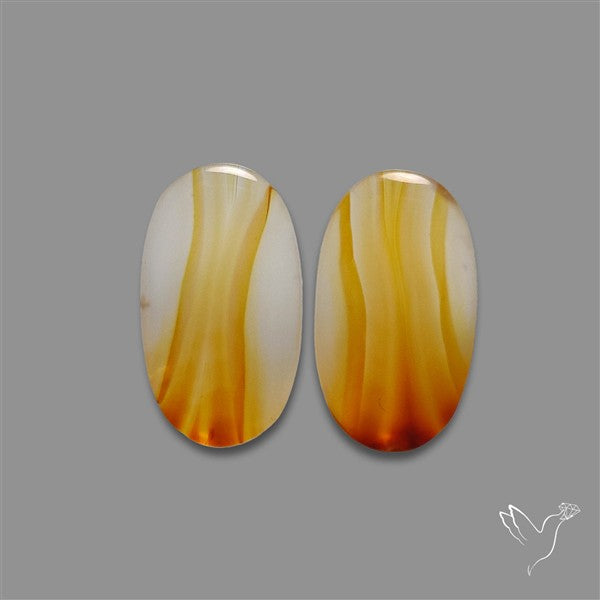 Montana Agate Pair