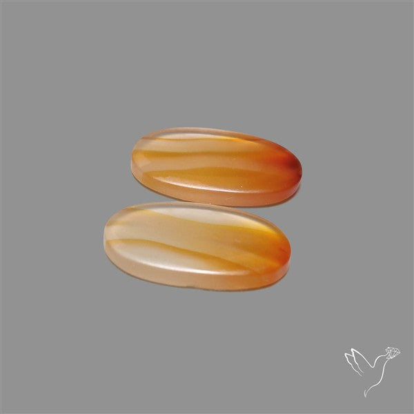Montana Agate Pair