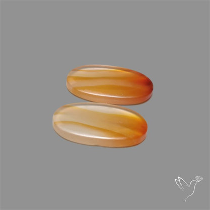 Montana Agate Pair