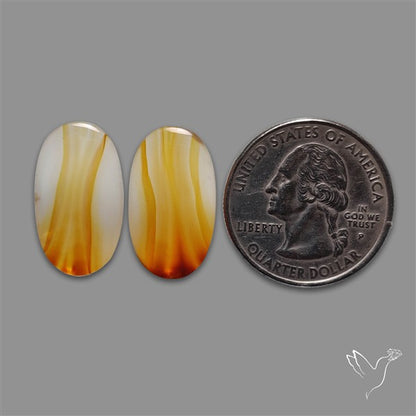 Montana Agate Pair