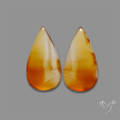 Montana Agate Pair
