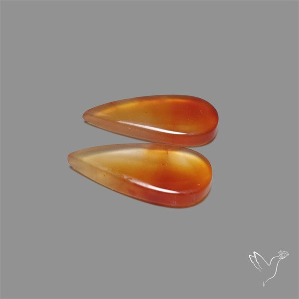 Montana Agate Pair