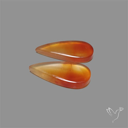 Montana Agate Pair