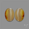 Montana Agate Pair