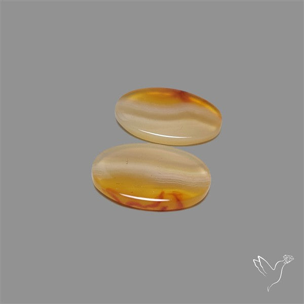 Montana Agate Pair