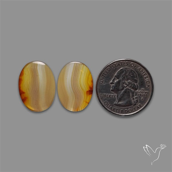 Montana Agate Pair