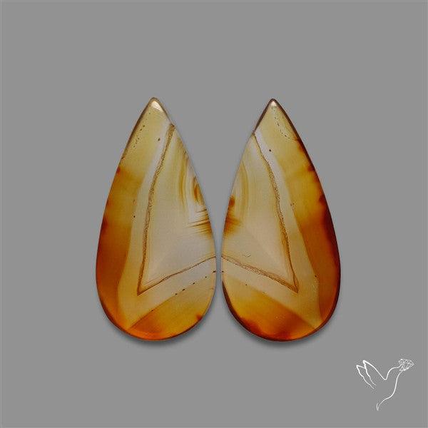 Montana Agate Pair