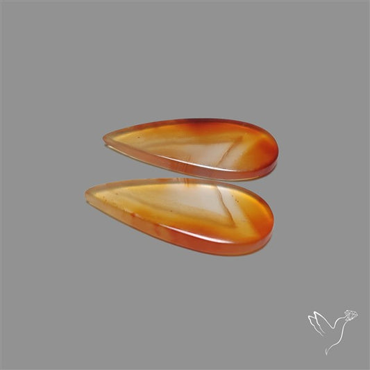 Montana Agate Pair