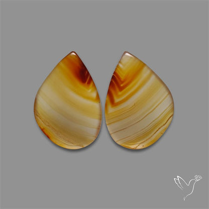 Montana Agate Pair