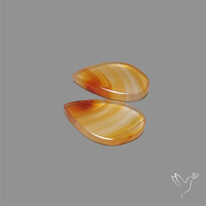 Montana Agate Pair