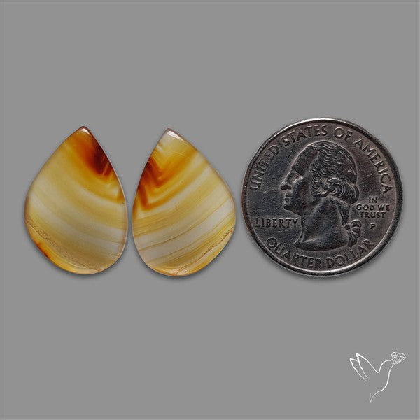 Montana Agate Pair