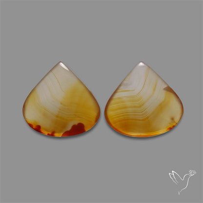 Montana Agate Pair