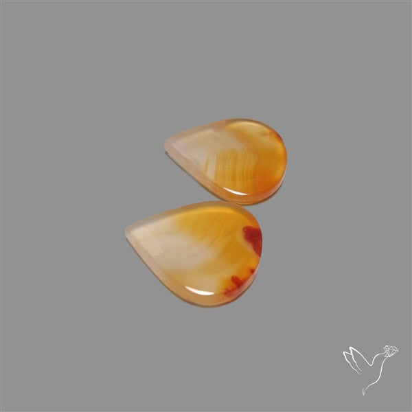 Montana Agate Pair