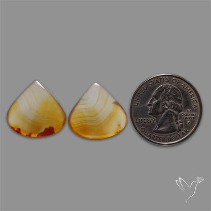 Montana Agate Pair