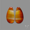 Montana Agate Pair