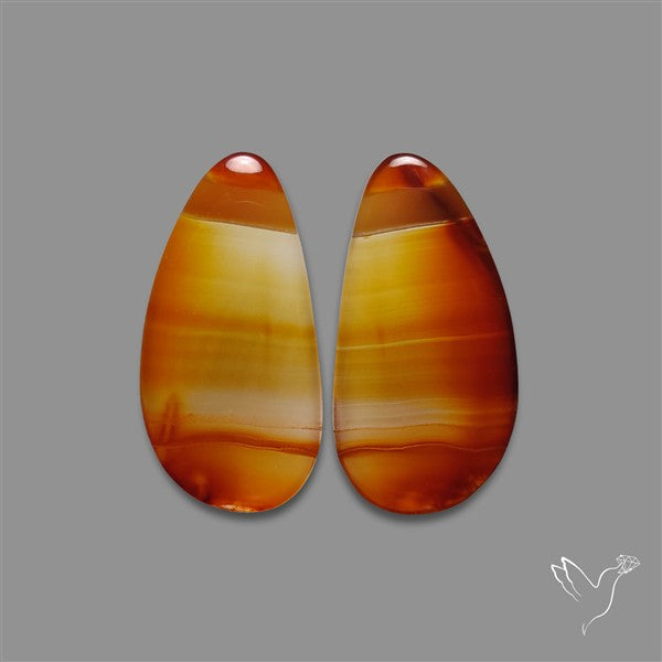 Montana Agate Pair