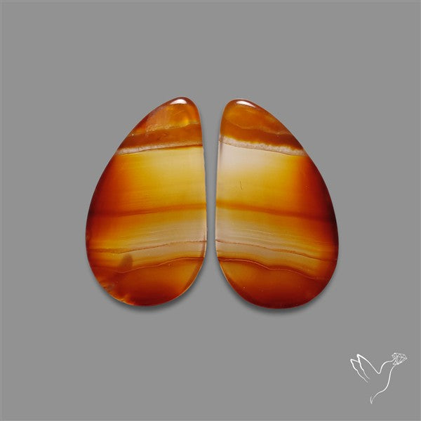 Montana Agate Pair