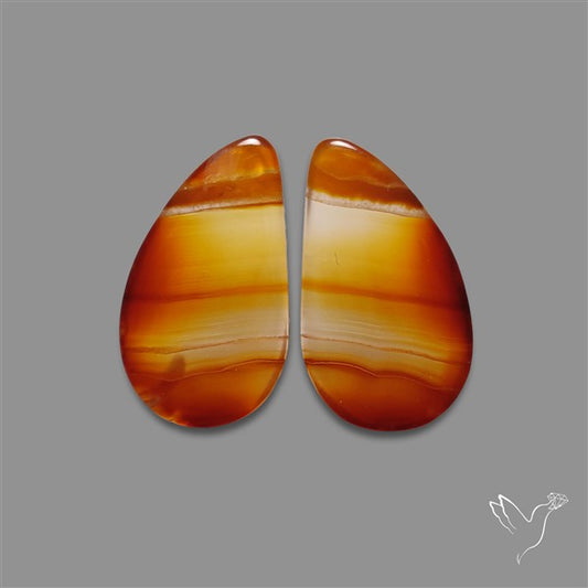 Montana Agate Pair