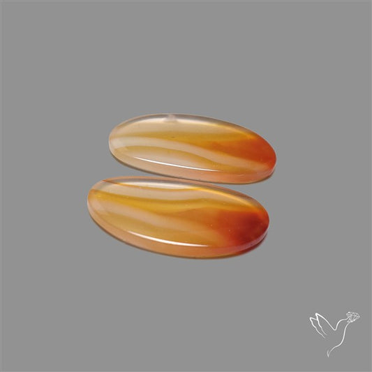 Montana Agate Pair