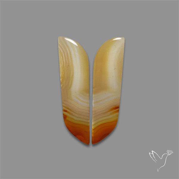 Montana Agate Pair