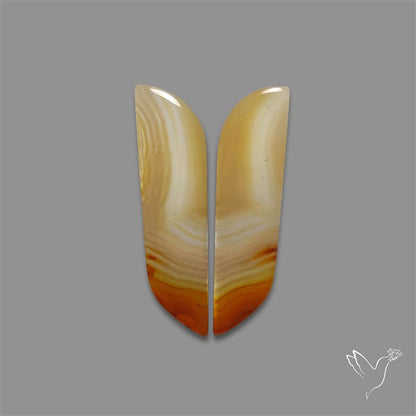 Montana Agate Pair
