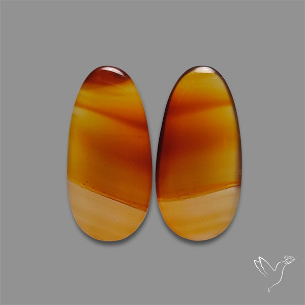Montana Agate Pair