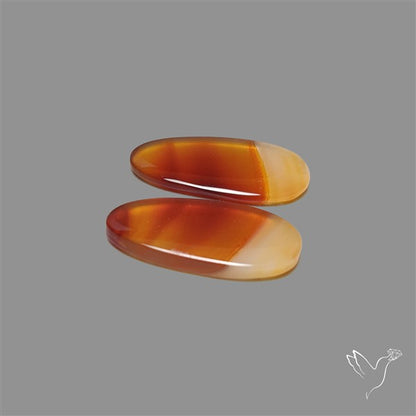 Montana Agate Pair