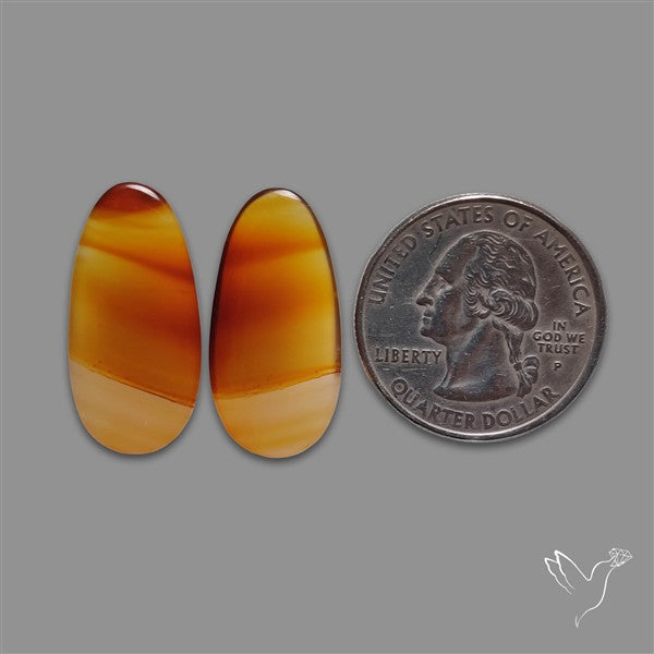 Montana Agate Pair
