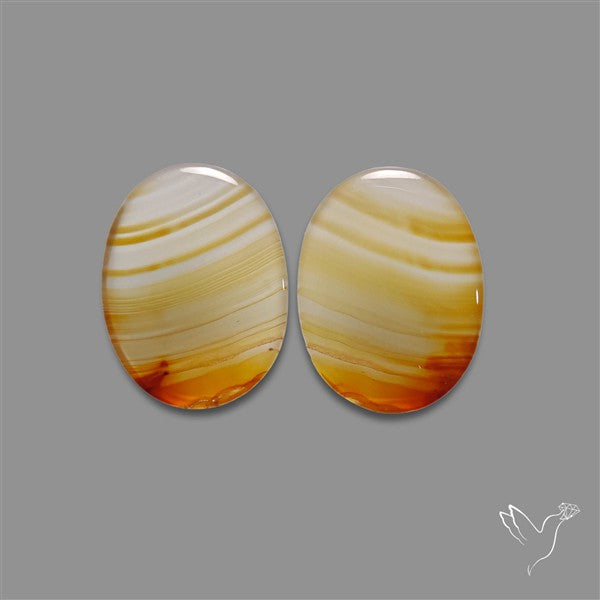 Montana Agate Pair