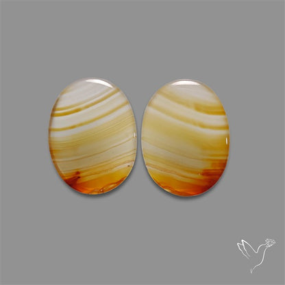 Montana Agate Pair