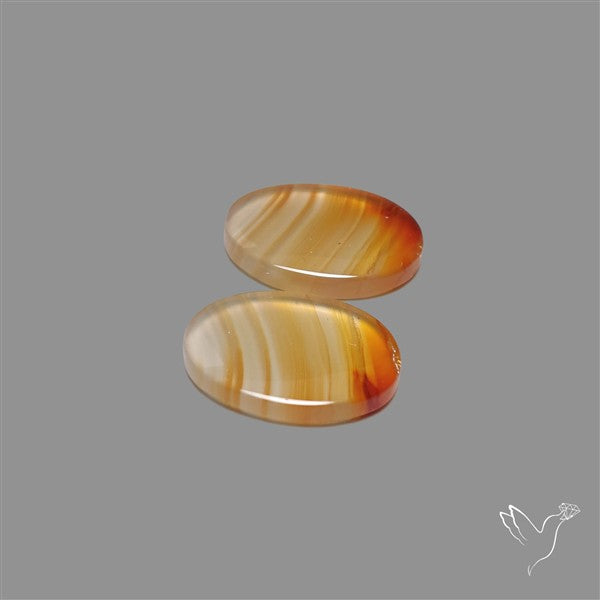 Montana Agate Pair