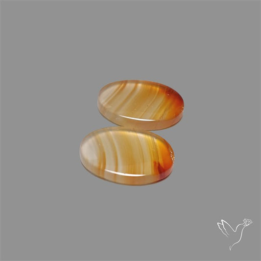 Montana Agate Pair