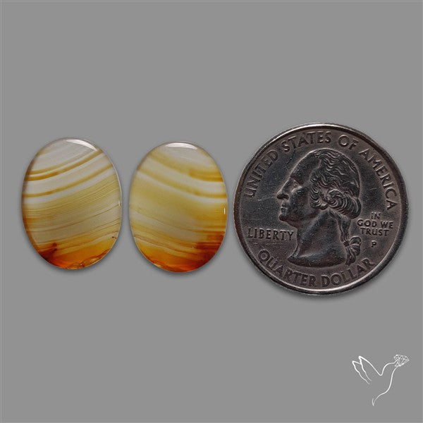 Montana Agate Pair