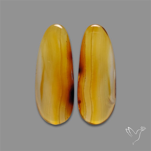 Montana Agate Pair