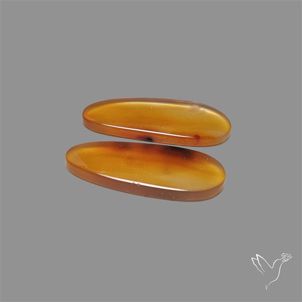Montana Agate Pair