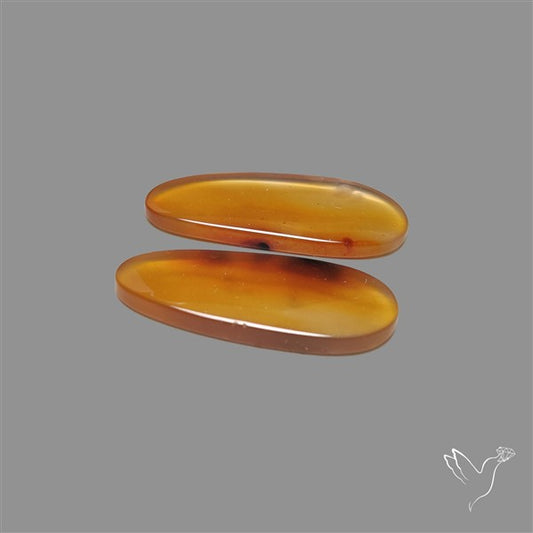 Montana Agate Pair