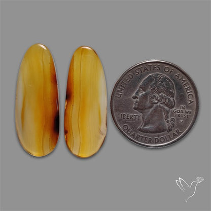 Montana Agate Pair