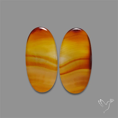 Montana Agate Pair