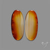 Montana Agate Pair