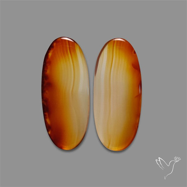 Montana Agate Pair